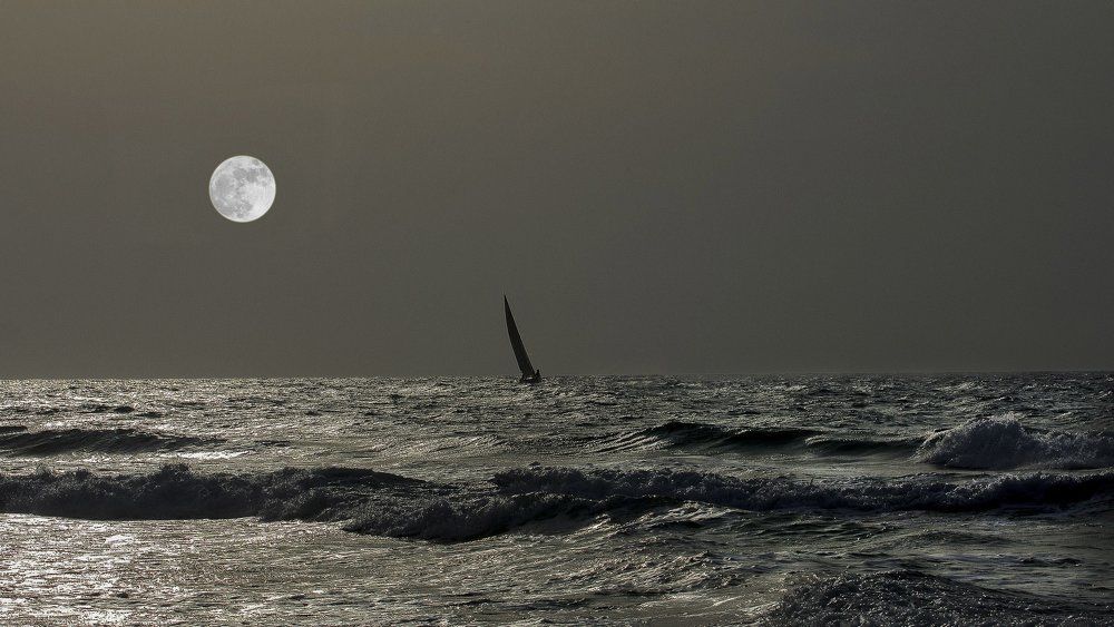 "По рыбам, по звездам проносит шаланду"