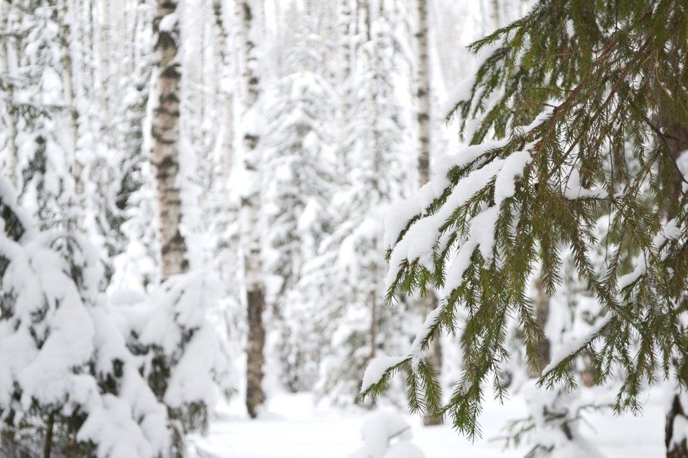 Photograph by Анастасия Ефимова