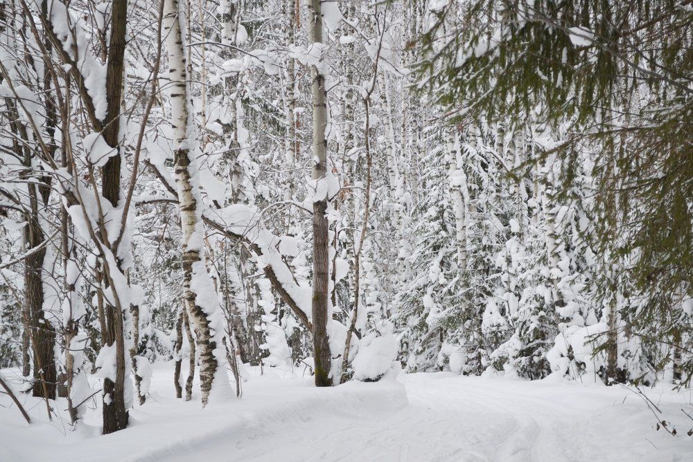 Photograph by Анастасия Ефимова