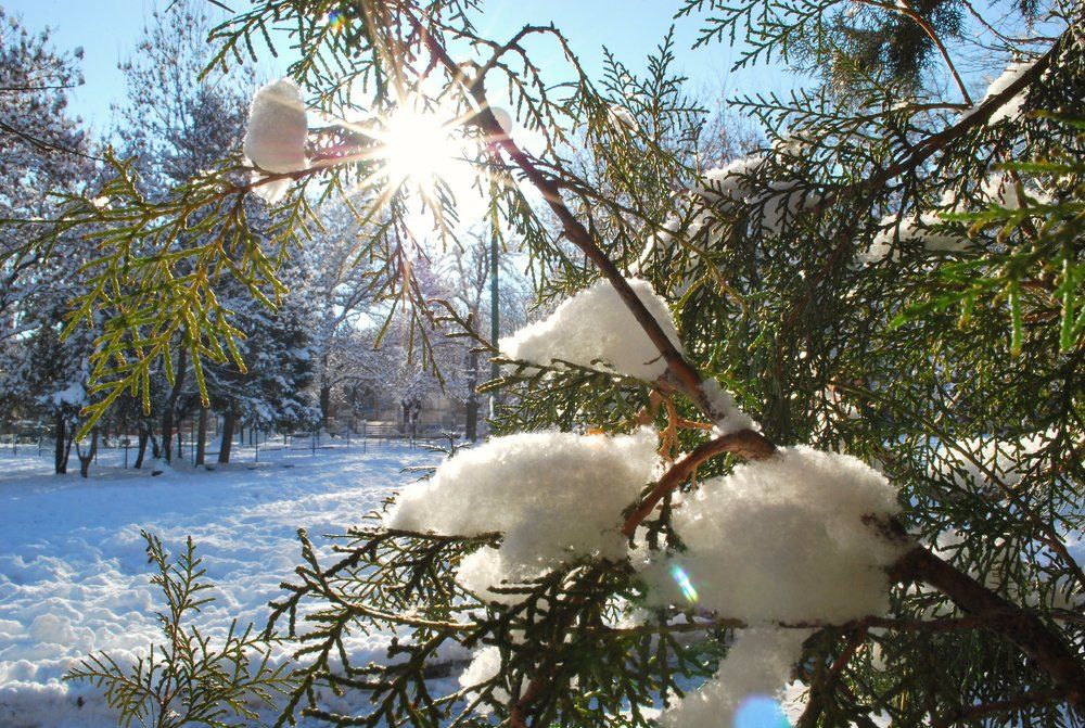 Snowy beam