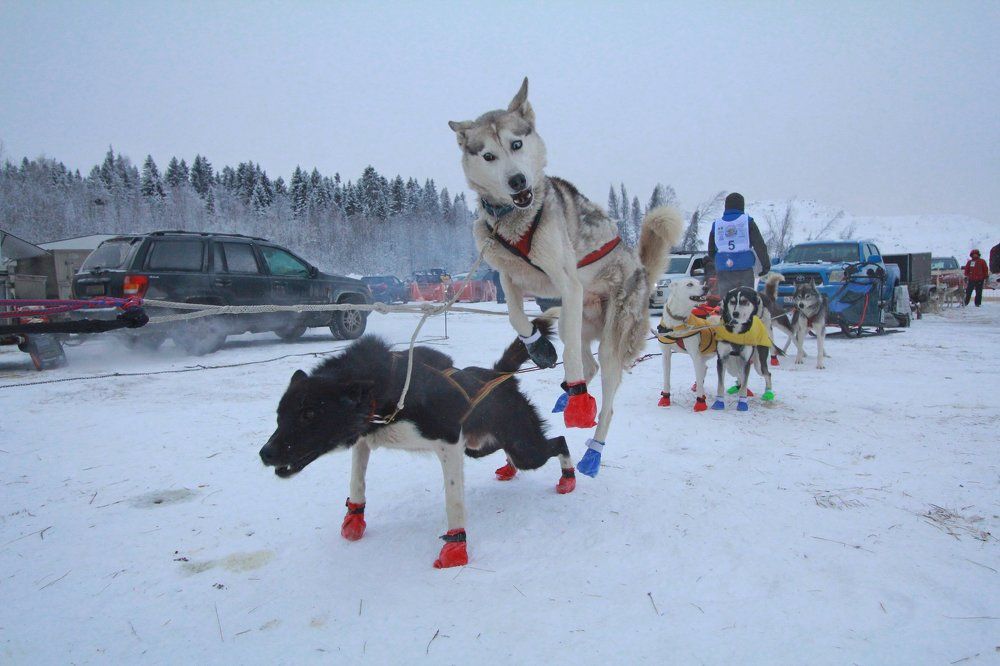 Перед стартом.Не терпится...