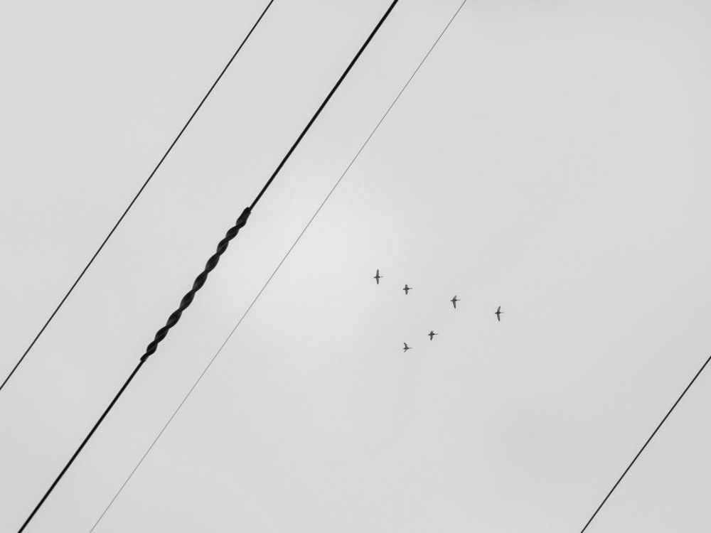 Треугольники