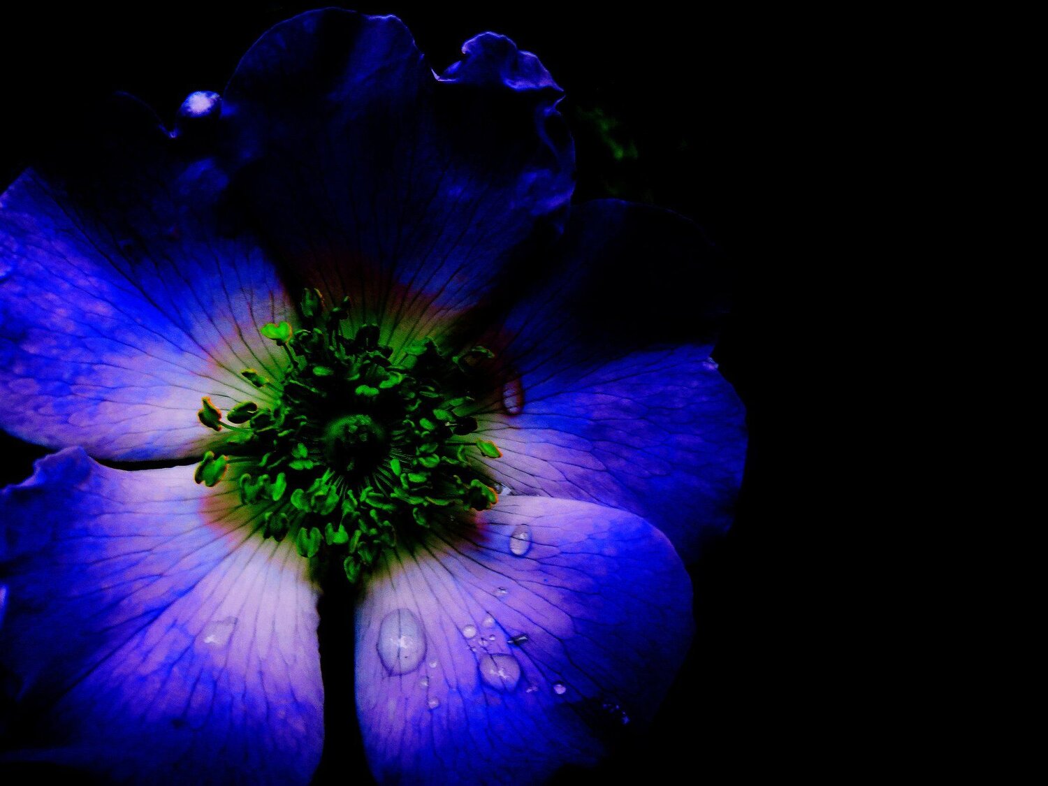 In The Dark