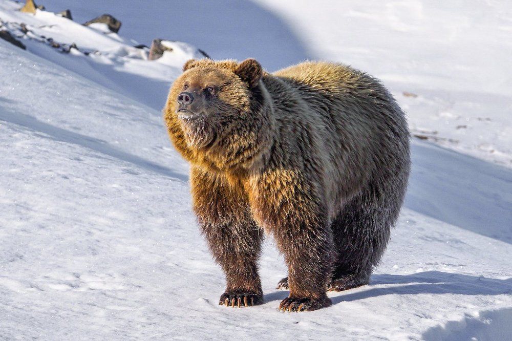 Неужели весна...