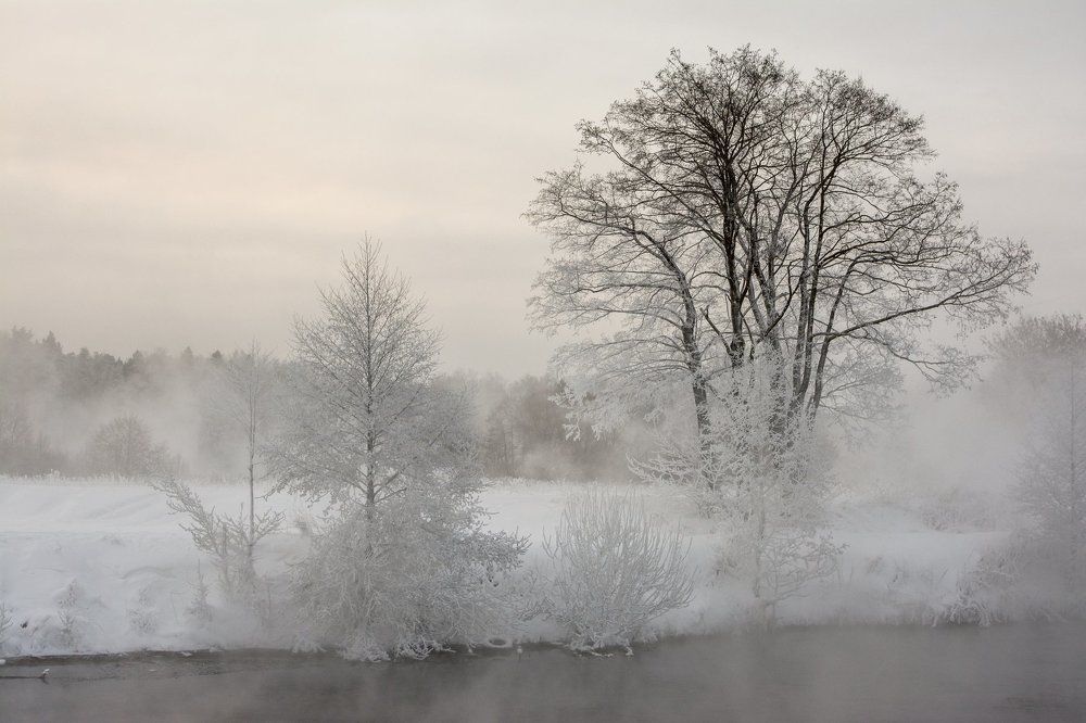 Морозное утро.