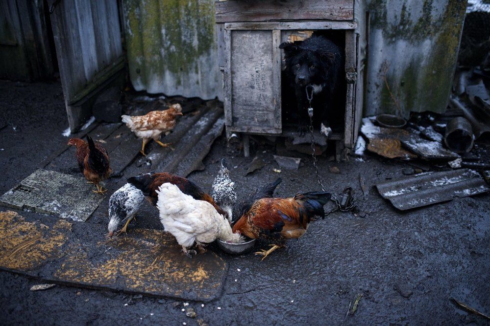 Кто успел тот поел