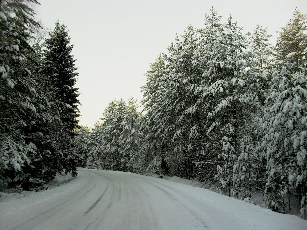 зима.январь...