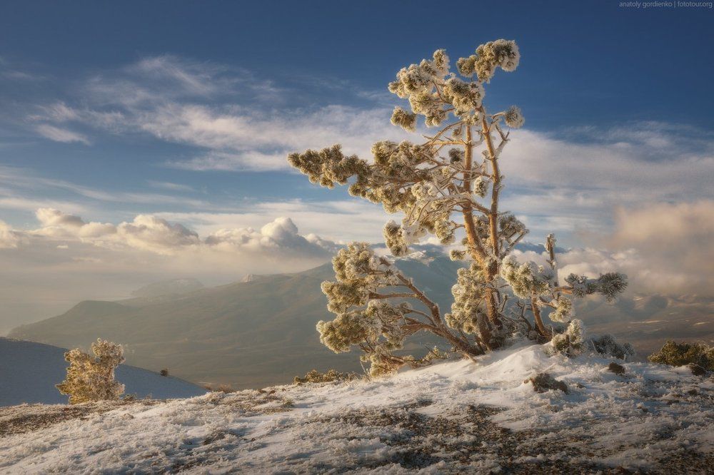 Солнечное утро