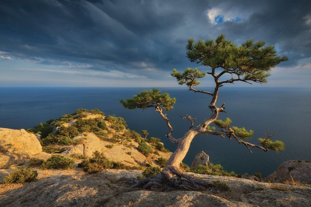 Вечер на "Космосе"