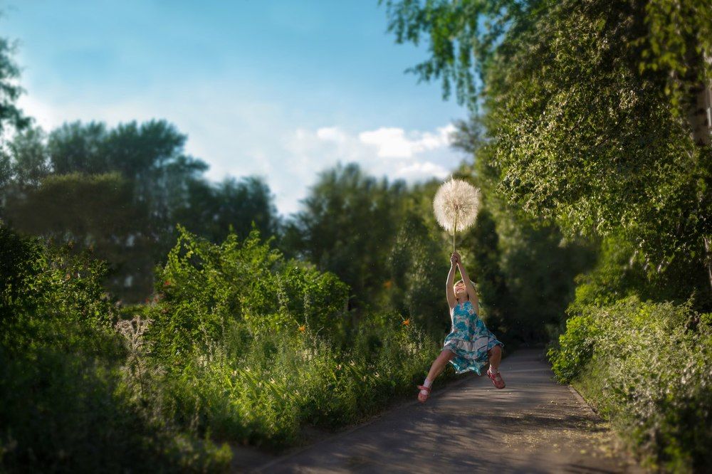 Когда одуванчики были большими...