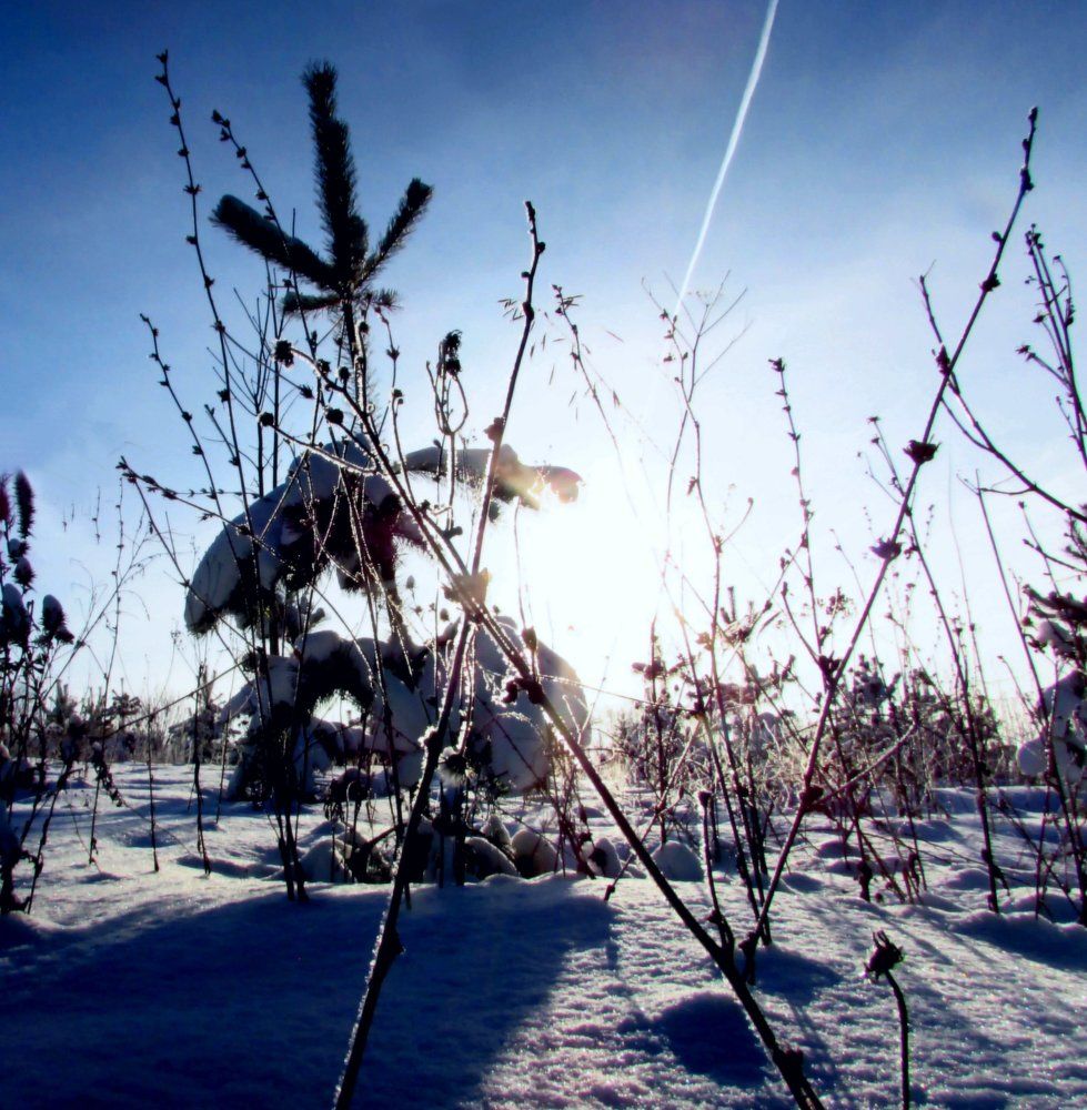 Солнце, снег, небо....