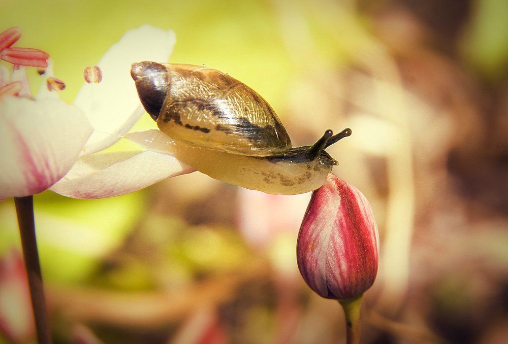 Знакомство