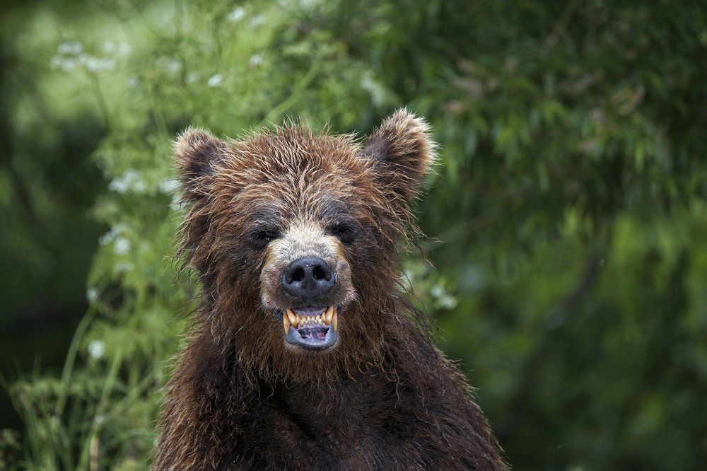 Фотограф, снимай, сегодня я добрый!