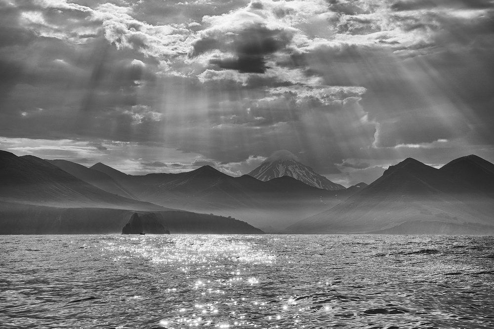 В солнечных лучах.