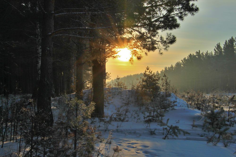 Мороз и солнце