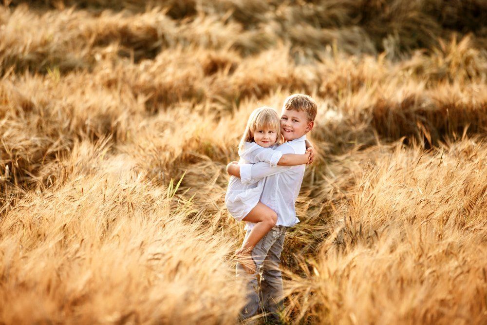 На закате в поле