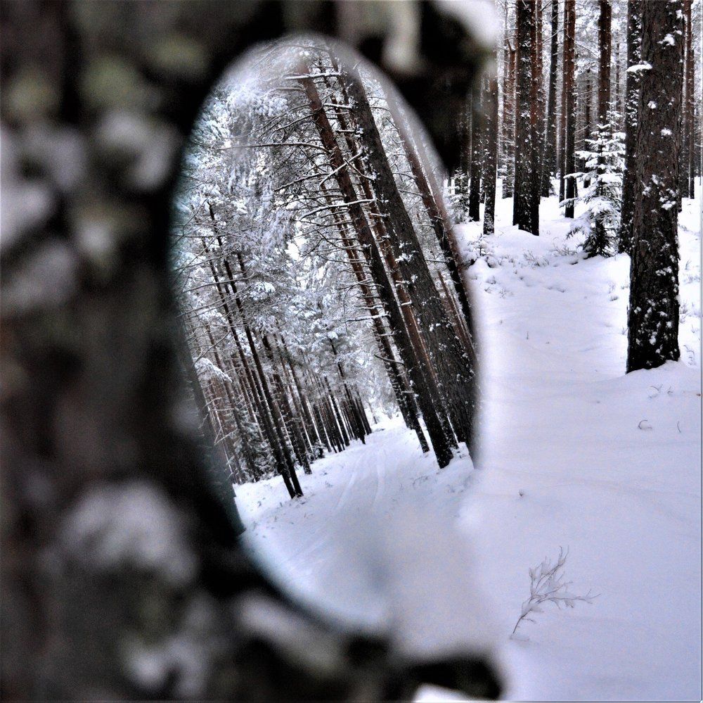 Дорога в зимний мир