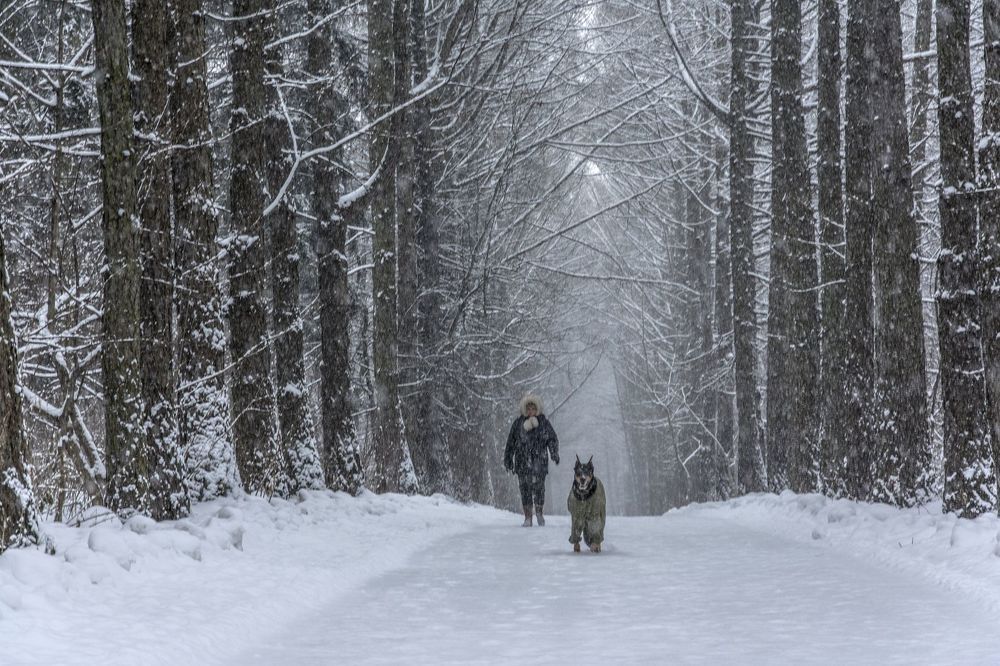 Утренняя прогулка при любой погоде.