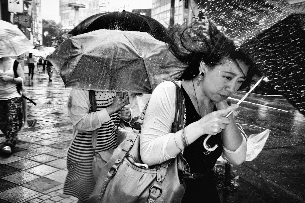 Photograph by Tatsuo Suzuki