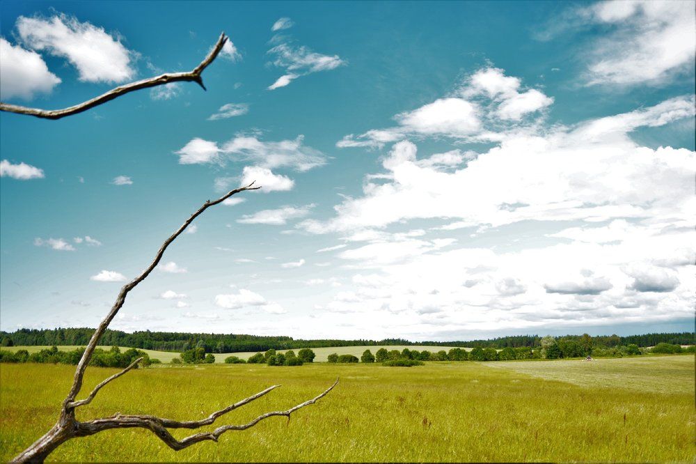 Чуть чуть лета