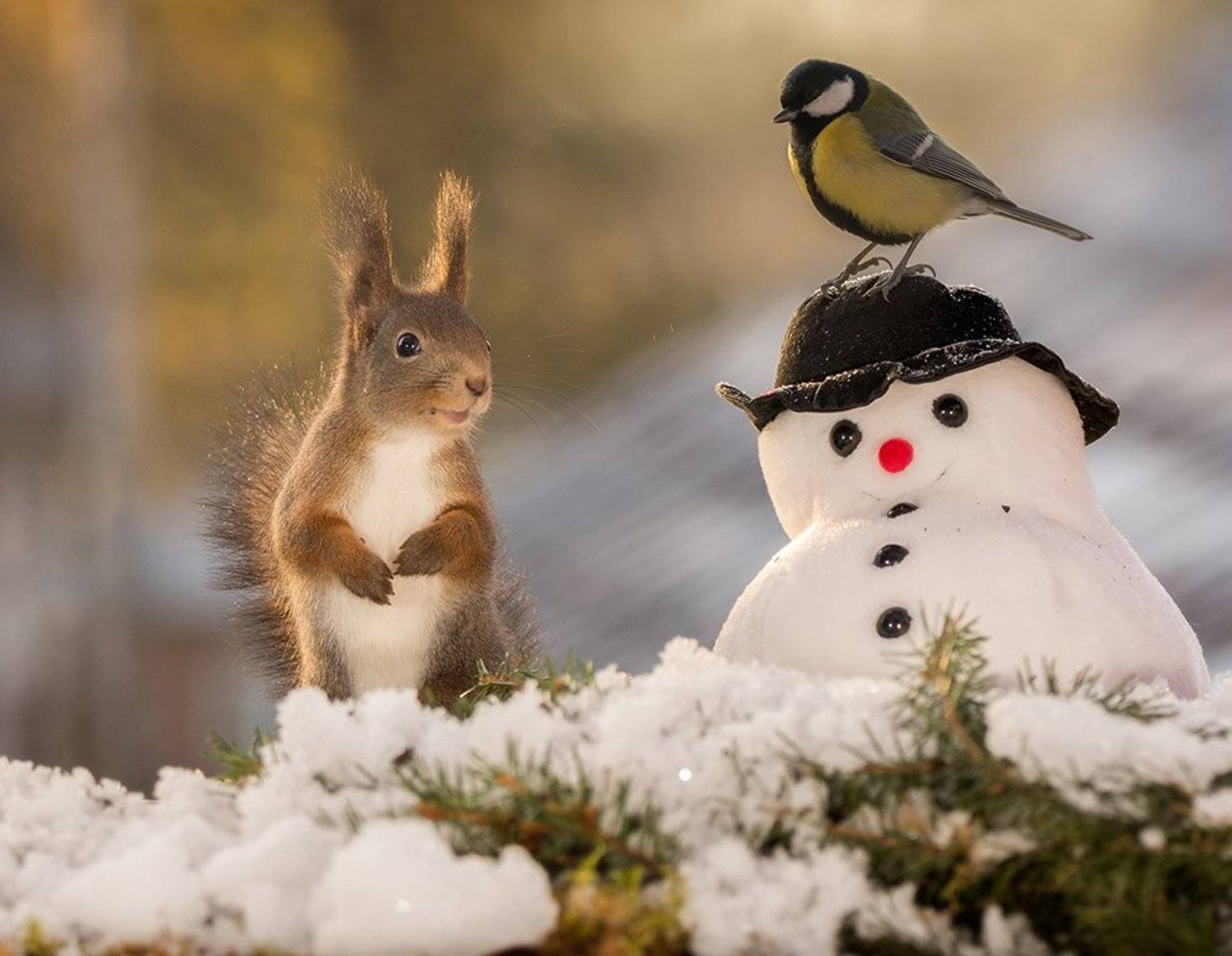 snowman with birdhat