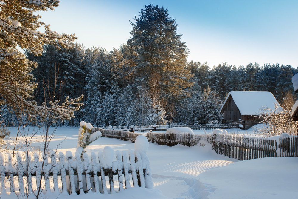 снежный край