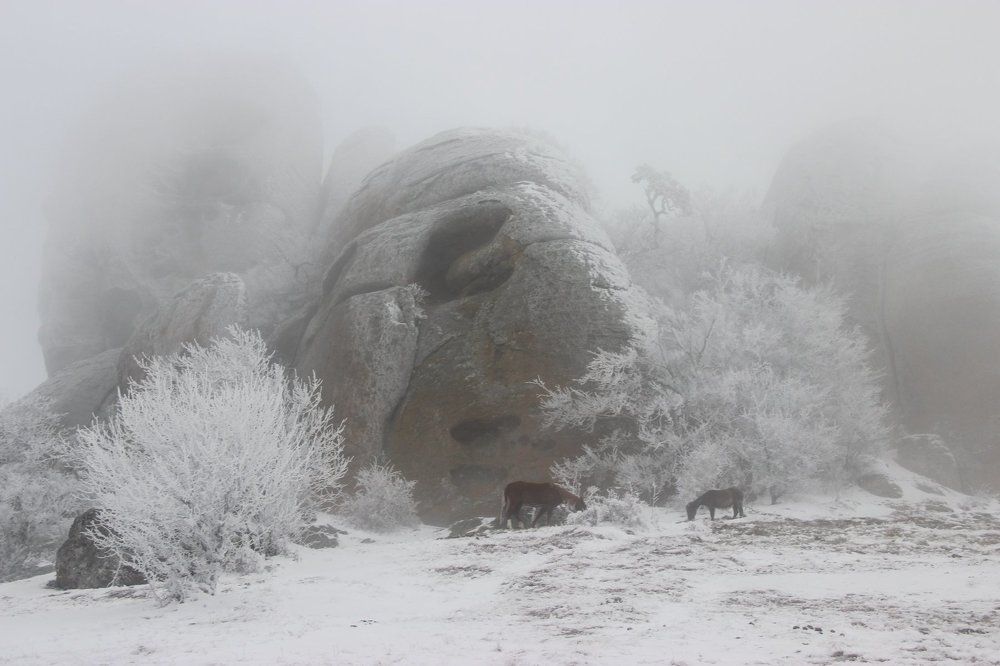 Зима на Демерджи
