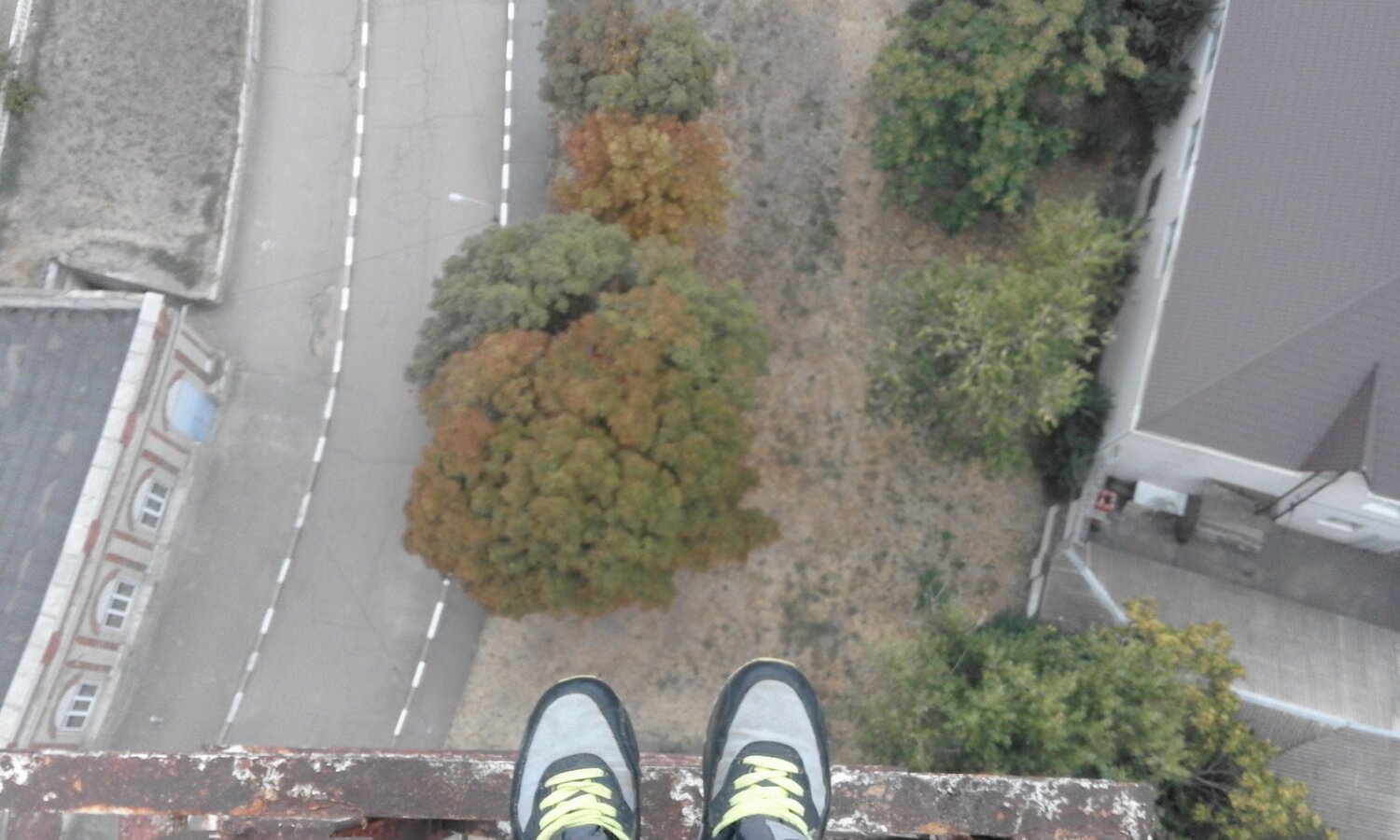 Photo #1616293