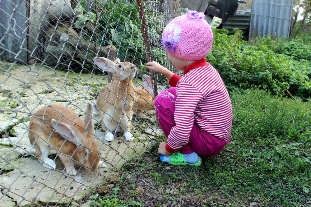 Photograph by Колесник Татьяна