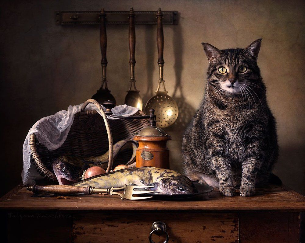 Натюрморт с налимом