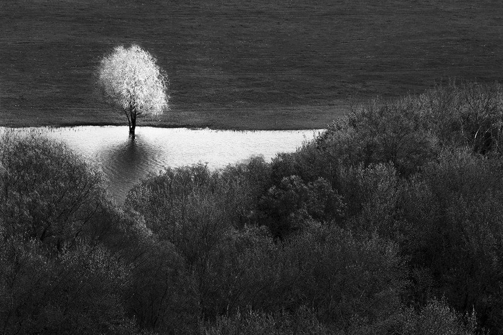 Отторжение