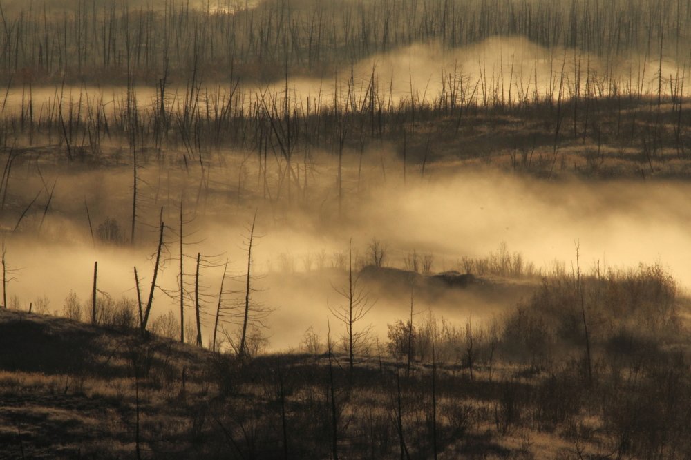 осень таймырская..