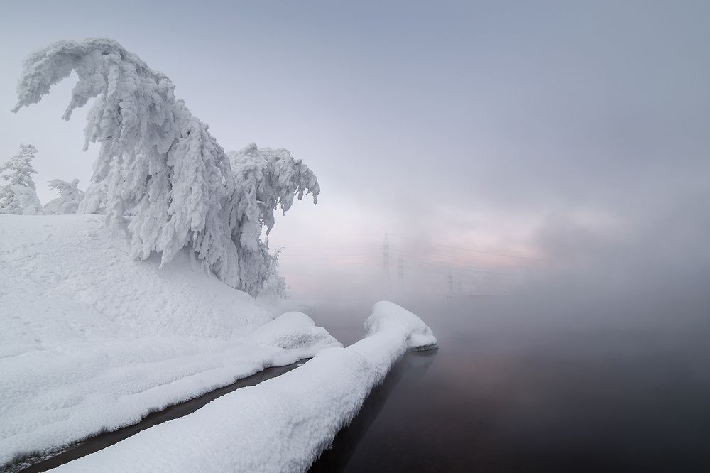 Снежные крылья