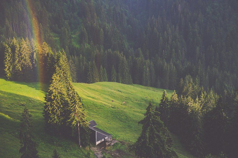 После дождя