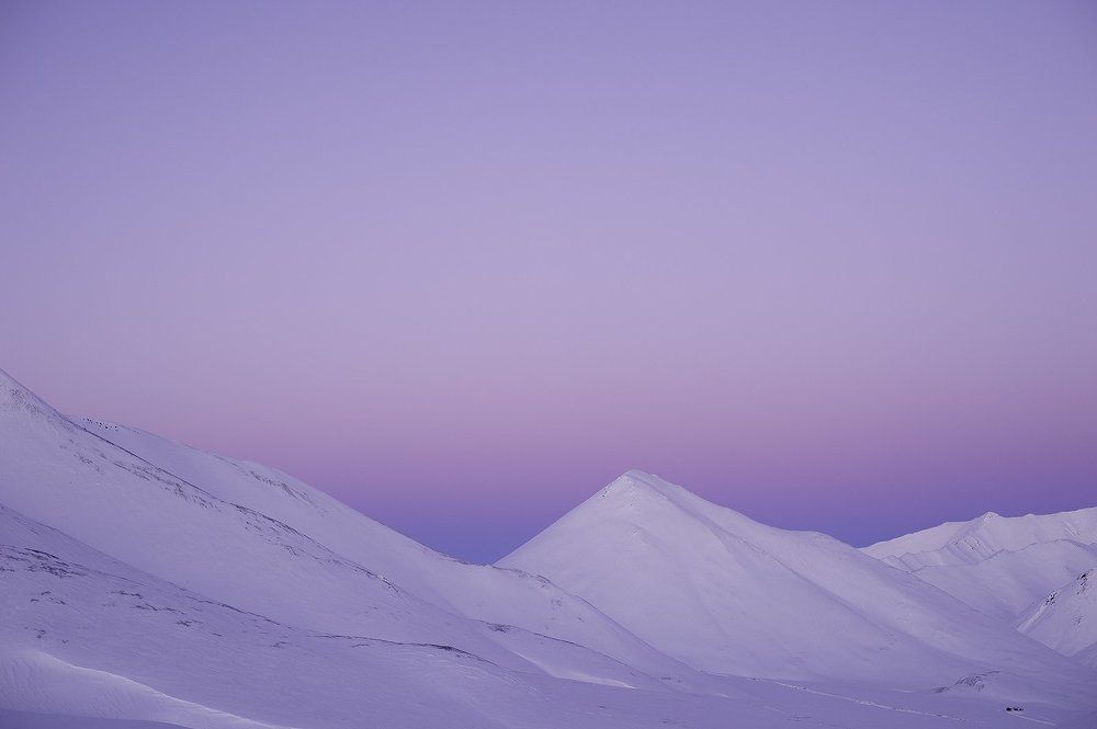 В розовых тонах