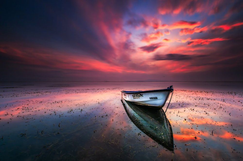 Morning Alone on The Red Sky