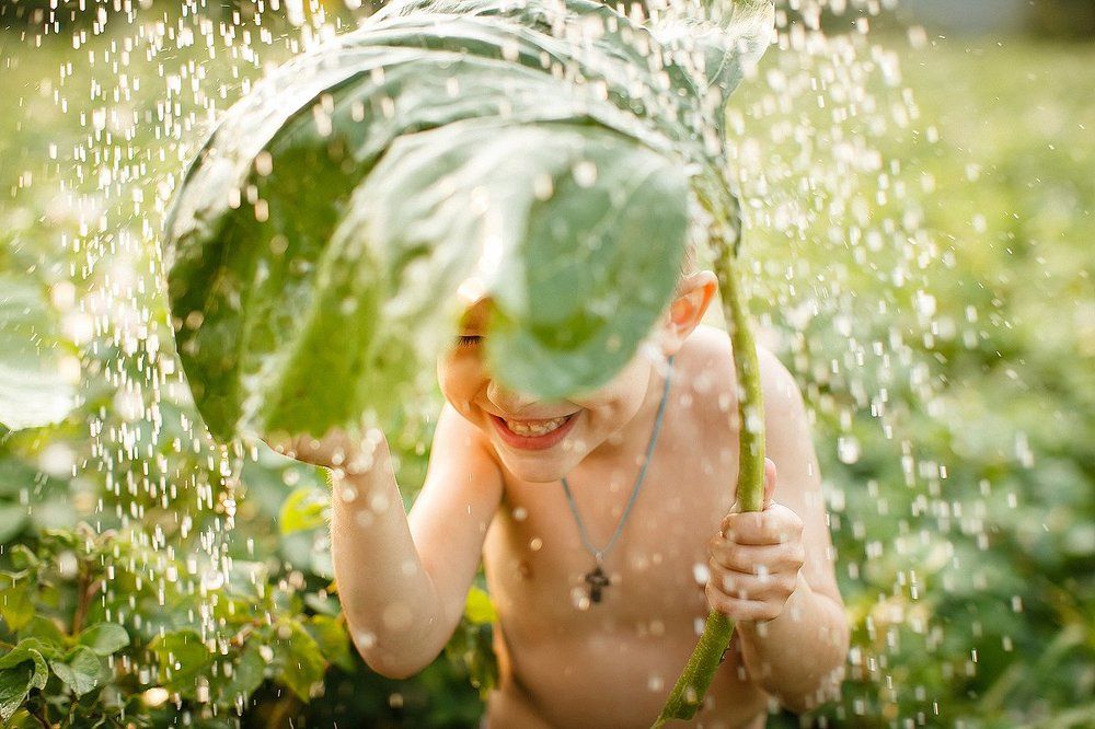 Летний дождь