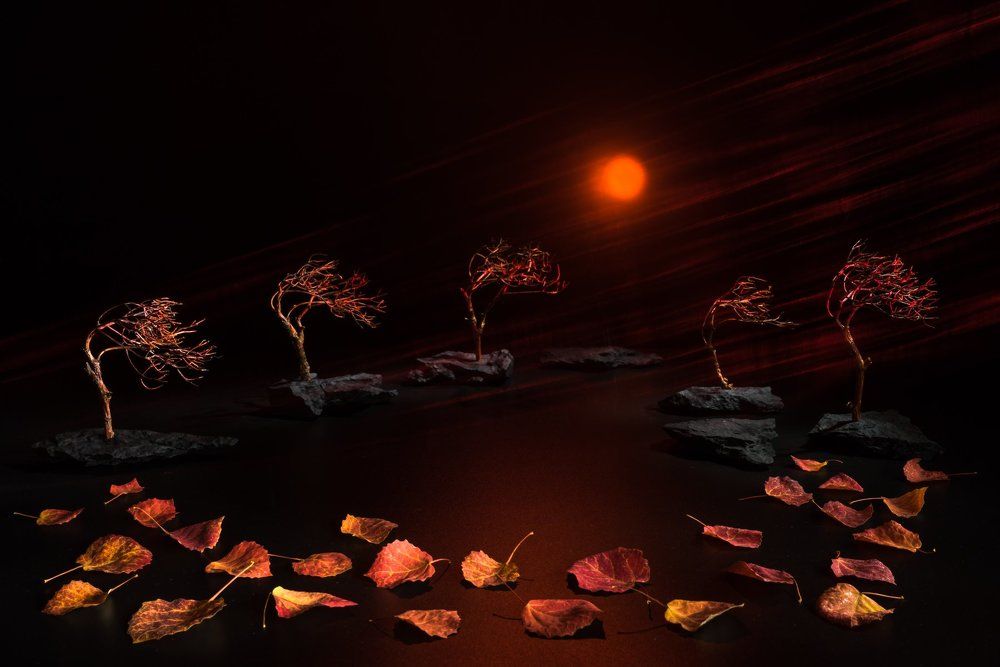 Красный осенний ветер