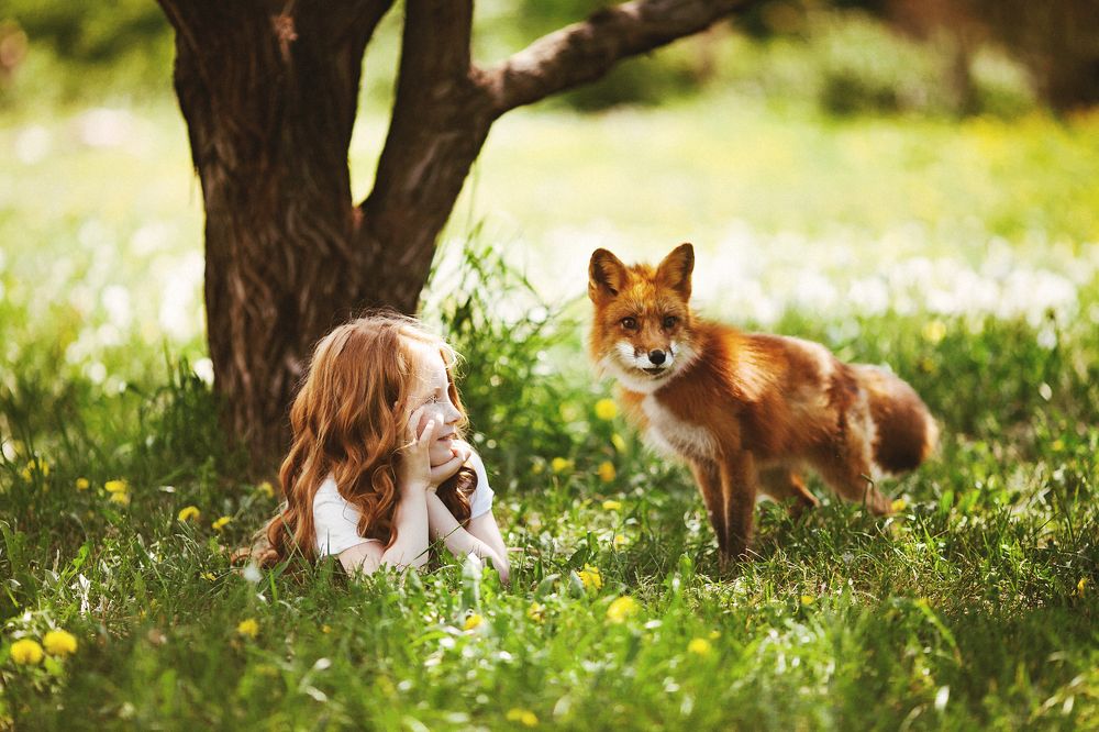 Анечка и лиса Алиса