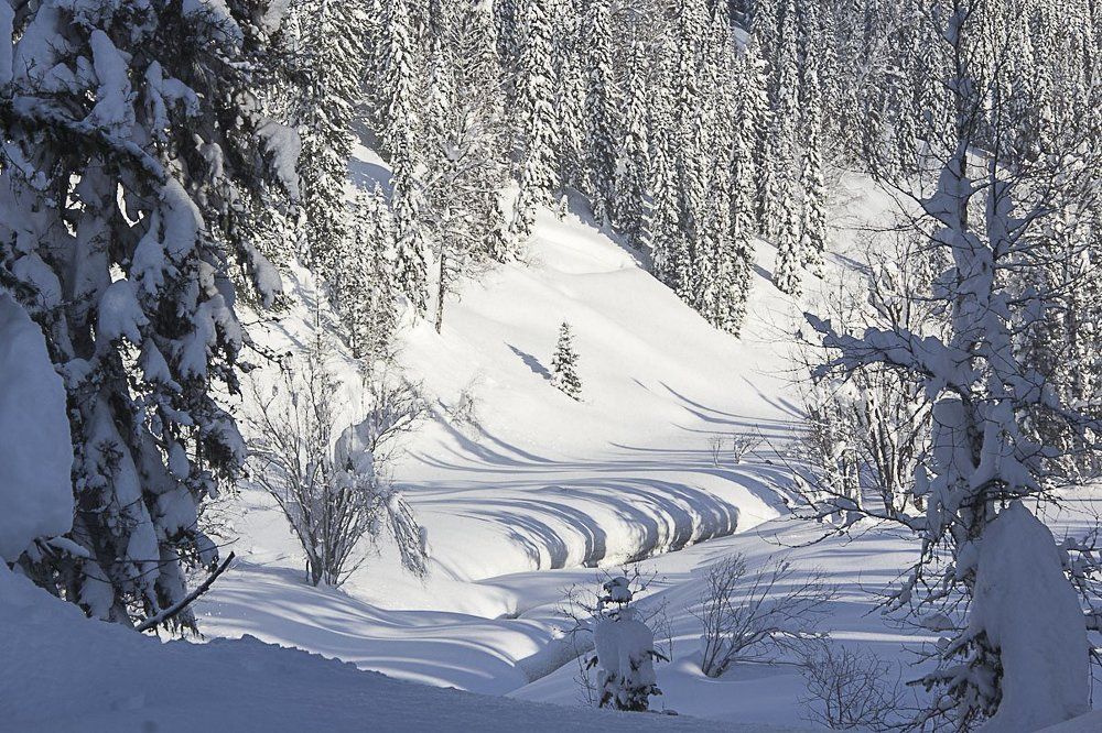 Зимнее кружево Кузнецкого Алатау