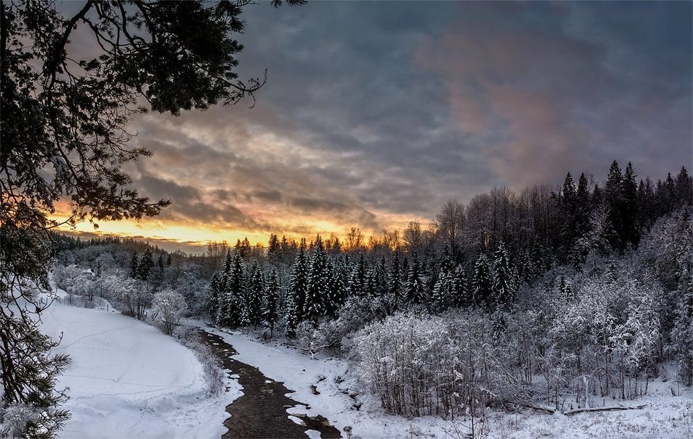 Ночь перед рождеством