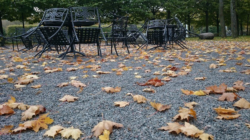 Осень. Кафе в парке.
