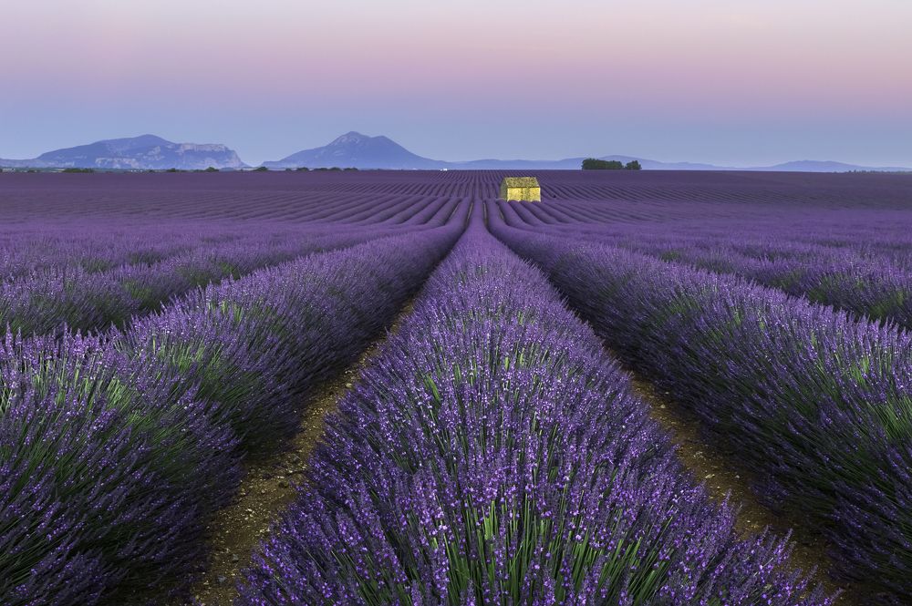 Закат в лавандовых полях Прованса