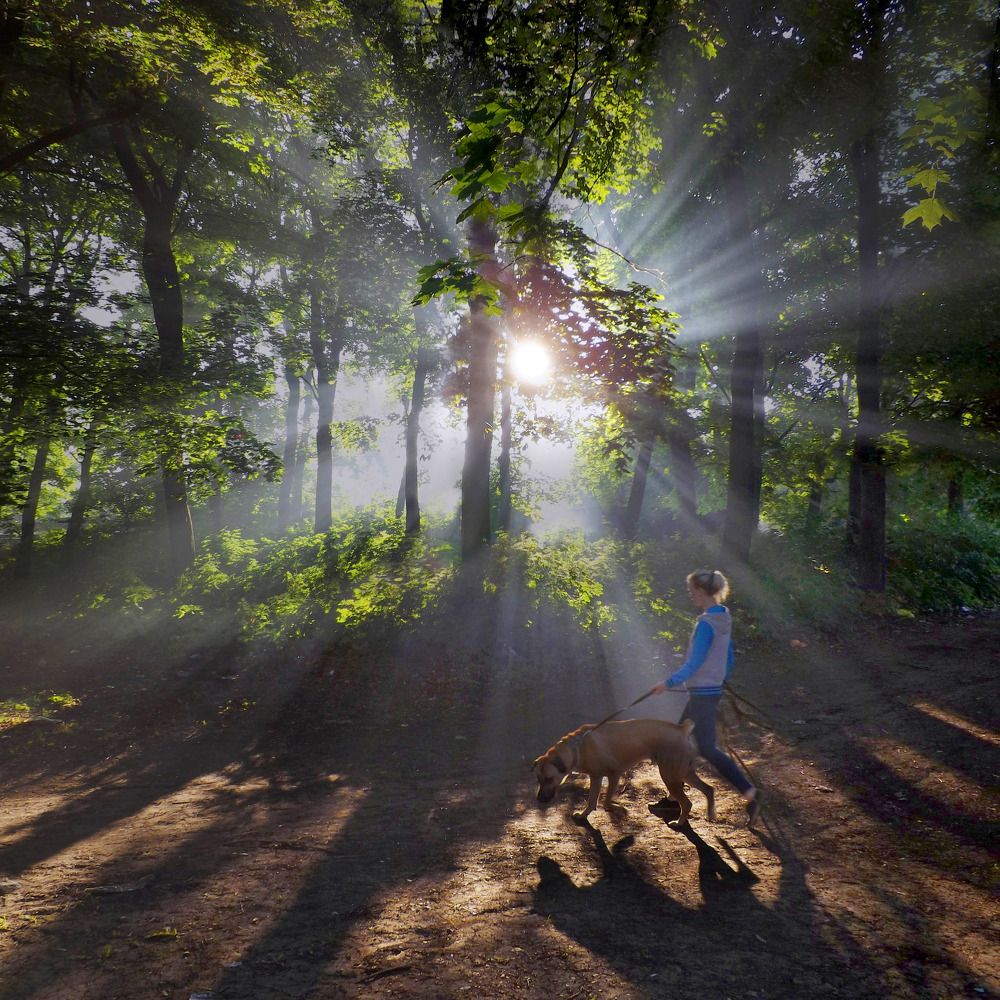 променад среди лучей (1+)