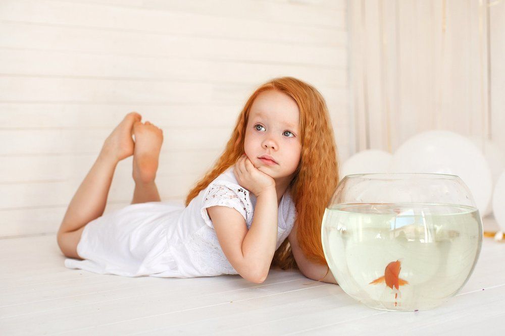 Photograph by Кристина Шелковникова