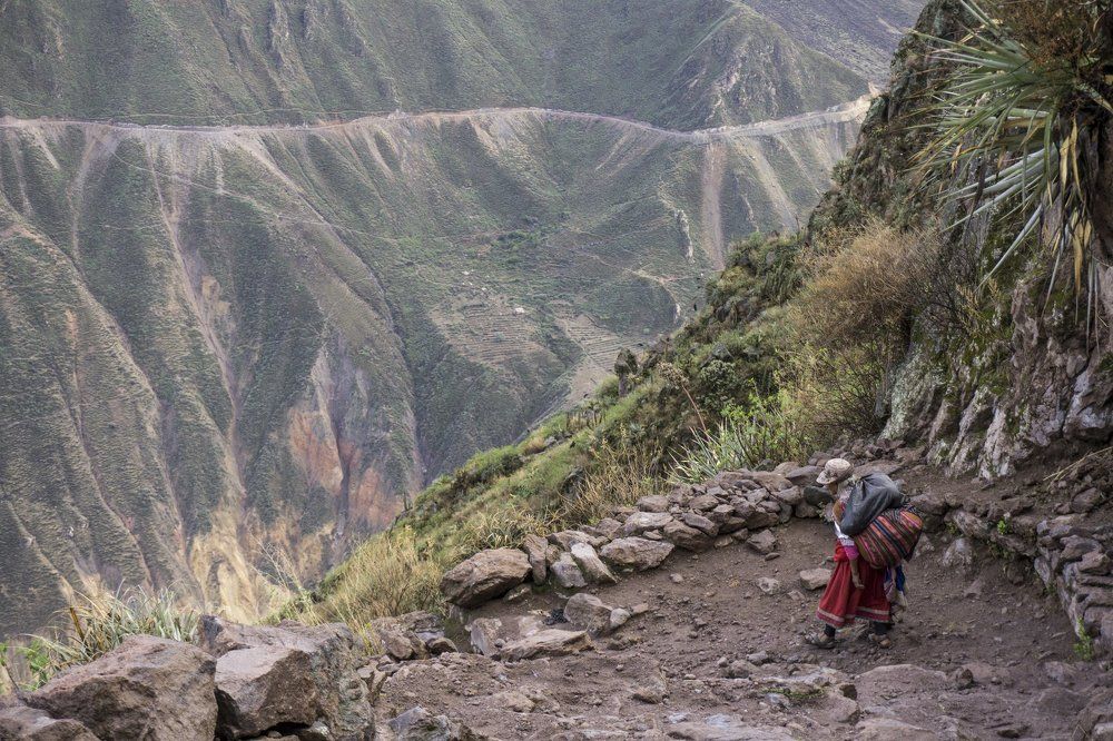 On the way back home