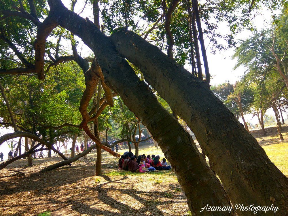 Picnic