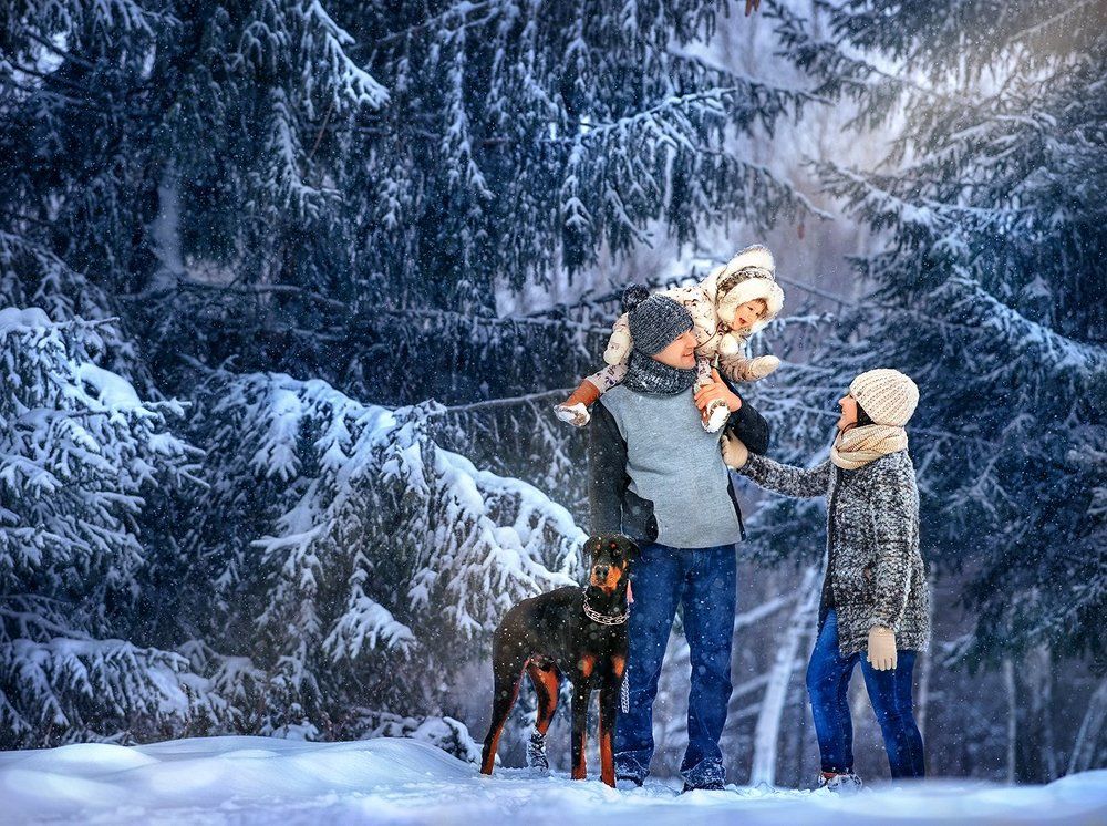 На зимней прогулке