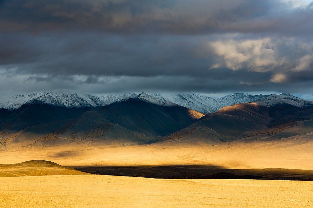 Осеннее золото Алтая.