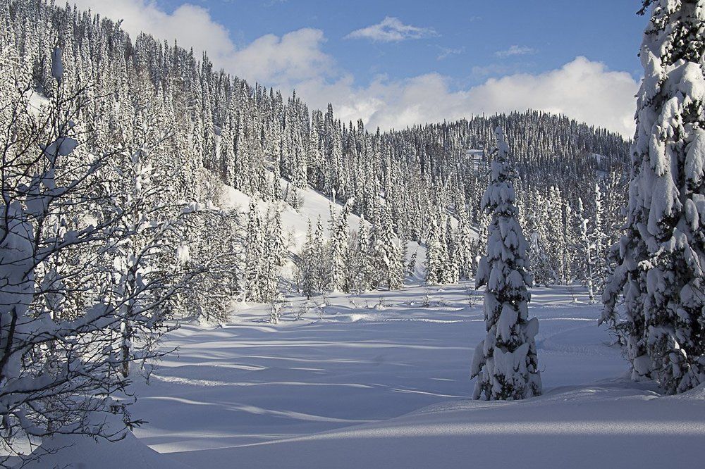 Кузнецкое Алатау